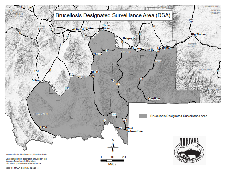 Brucellosis Designated Surveillance Area (DSA)